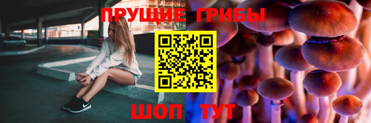 Псилоцибиновые грибы прущие грибы  Псилоцибиновые грибы Psilocybe  Буйнакск  Вход с VPN 